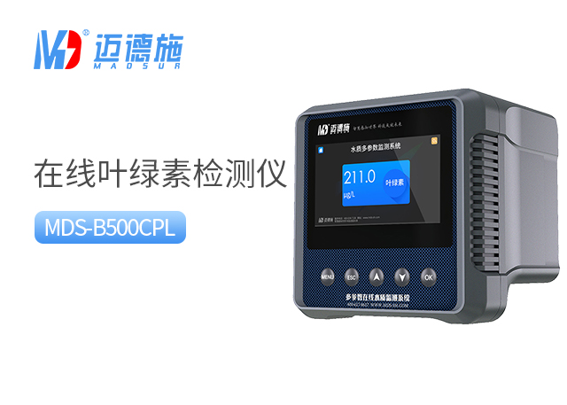 1698309340953720.jpg 叶绿素.jpg
